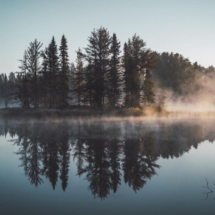 National parks landscape